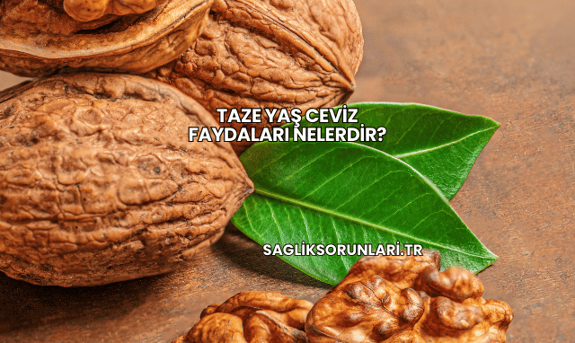 Taze Yaş Ceviz Faydaları Nelerdir?