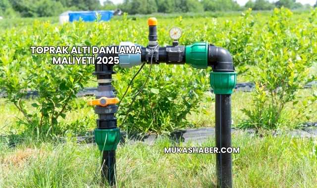 Toprak Altı Damlama Maliyeti 2025