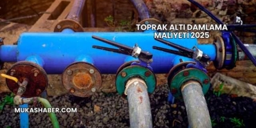 Toprak Altı Damlama Maliyeti 2025