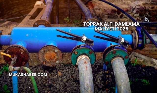 Toprak Altı Damlama Maliyeti 2025