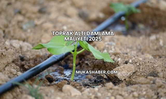 Toprak Altı Damlama Maliyeti 2025