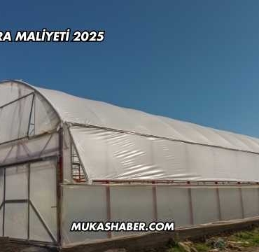 Topraklı Sera Maliyeti 2025