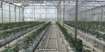 Topraksız Sera Maliyeti 2025