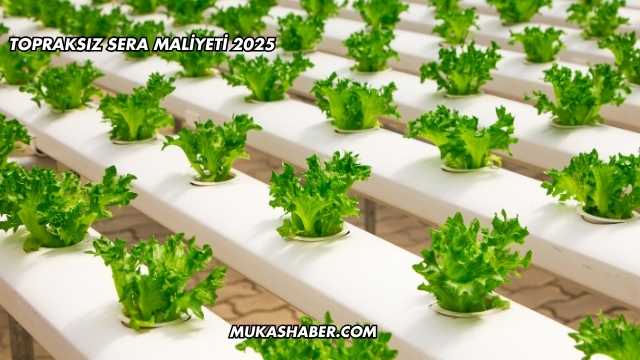 Topraksız Sera Maliyeti 2025