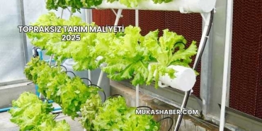Topraksız Tarım Maliyeti 2025