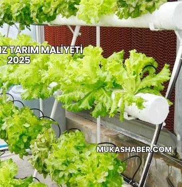 Topraksız Tarım Maliyeti 2025