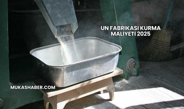 Un Fabrikası Kurma Maliyeti 2025