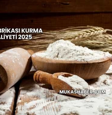 Un Fabrikası Kurma Maliyeti 2025