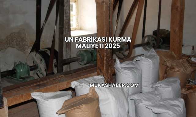 Un Fabrikası Kurma Maliyeti 2025