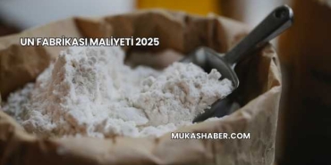 Un Fabrikası Maliyeti 2025