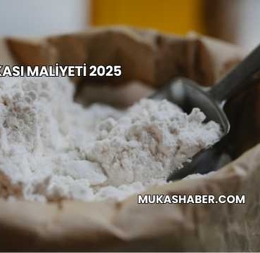 Un Fabrikası Maliyeti 2025