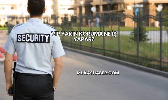 VİP Yakın Koruma Ne İş Yapar?