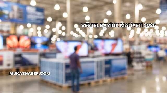 Vestel Bayilik Maliyeti 2025
