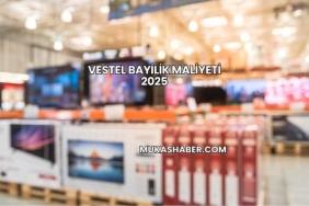 Vestel Bayilik Maliyeti 2025