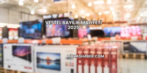 Vestel Bayilik Maliyeti 2025