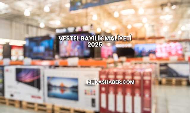 Vestel Bayilik Maliyeti 2025