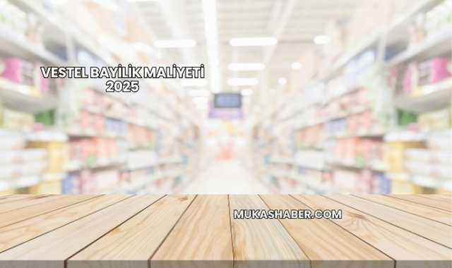 Vestel Bayilik Maliyeti 2025