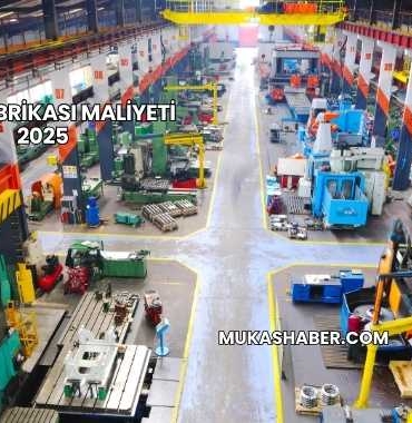 Vida Fabrikası Maliyeti 2025