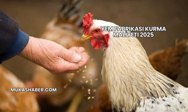 Yem Fabrikası Kurma Maliyeti 2025