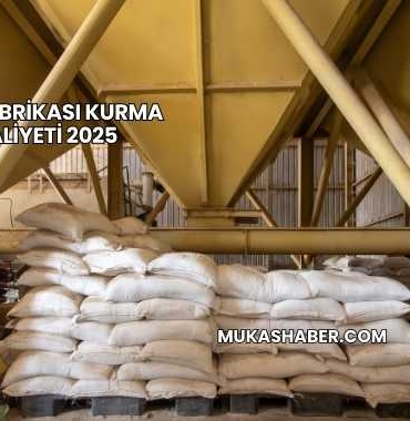 Yem Fabrikası Kurma Maliyeti 2025