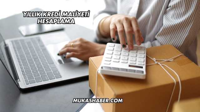 Yıllık Kredi Maliyeti Hesaplama