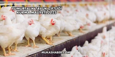 Yumurtalık Tavuk Çiftliği Kurma Maliyeti 2025