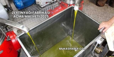 Zeytinyağı Fabrikası Açma Maliyeti 2025