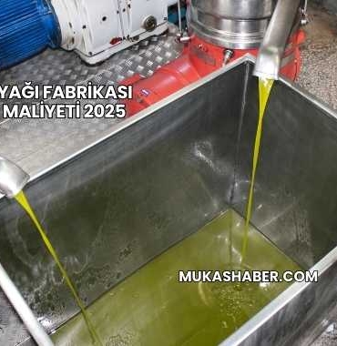 Zeytinyağı Fabrikası Açma Maliyeti 2025