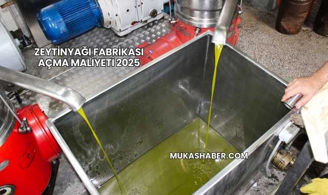 Zeytinyağı Fabrikası Açma Maliyeti 2025