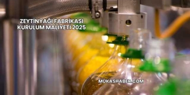 Zeytinyağı Fabrikası Kurulum Maliyeti 2025