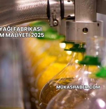 Zeytinyağı Fabrikası Kurulum Maliyeti 2025