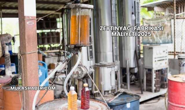 Zeytinyağı Fabrikası Maliyeti 2025