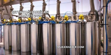 Zeytinyağı Fabrikası Maliyeti 2025