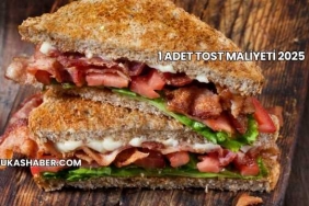 1 Adet Tost Maliyeti 2025