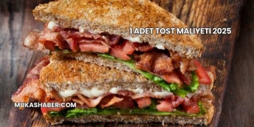 1 Adet Tost Maliyeti 2025