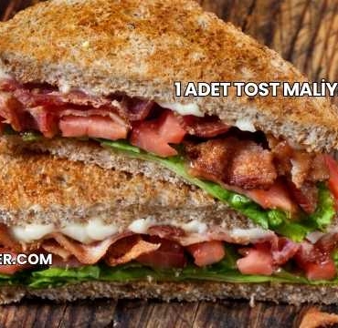 1 Adet Tost Maliyeti 2025