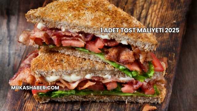 1 Adet Tost Maliyeti 2025