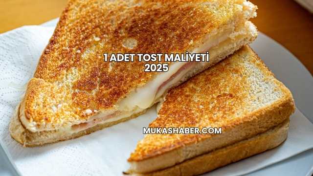 1 Adet Tost Maliyeti 2025
