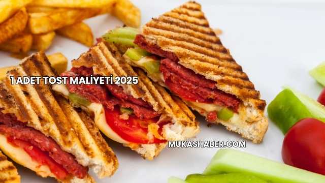 1 Adet Tost Maliyeti 2025