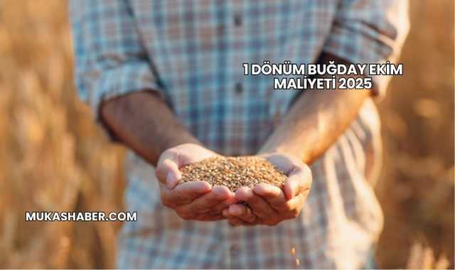 1 Dönüm Buğday Ekim Maliyeti 2025