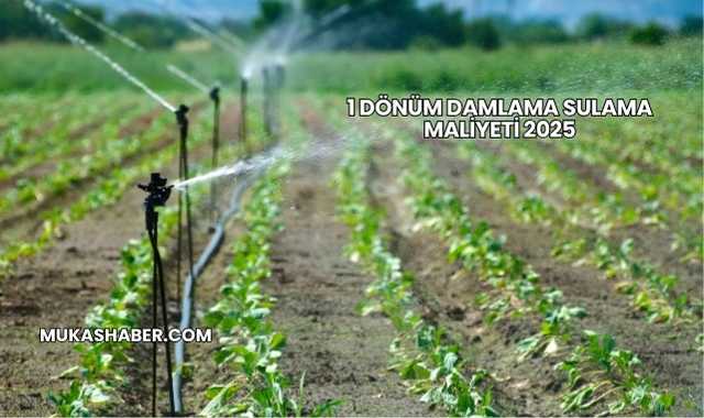 1 Dönüm Damlama Sulama Maliyeti 2025