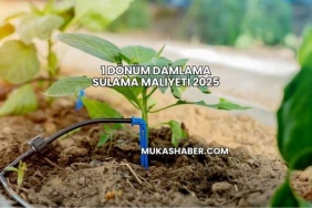 1 Dönüm Damlama Sulama Maliyeti 2025