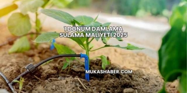 1 Dönüm Damlama Sulama Maliyeti 2025