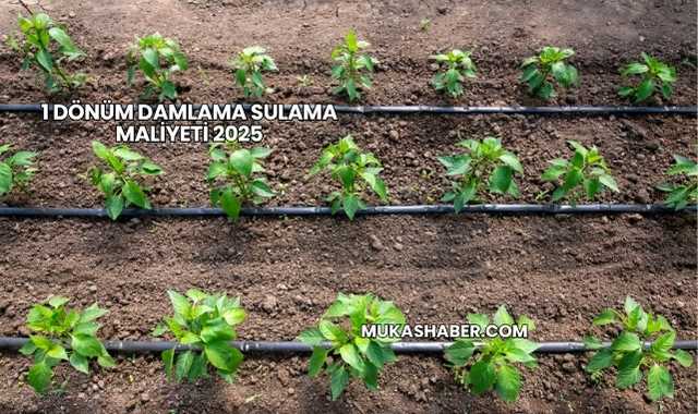 1 Dönüm Damlama Sulama Maliyeti 2025