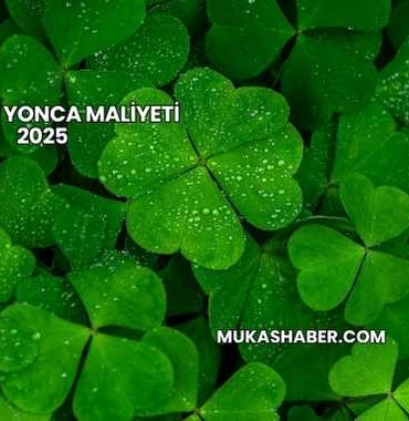 1 Dönüm Yonca Maliyeti 2025