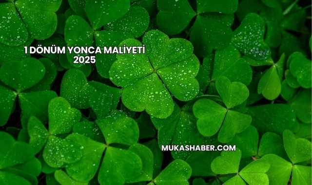 1 Dönüm Yonca Maliyeti 2025