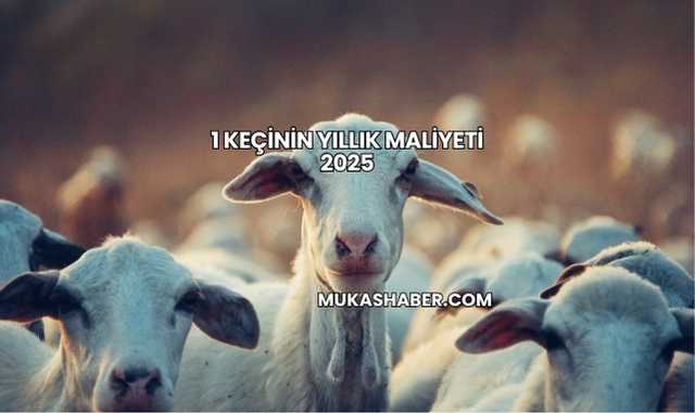 1 Keçinin Yıllık Maliyeti 2025