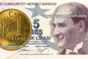 1 Kuruşun Maliyeti 2025