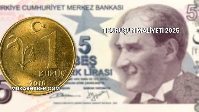1 Kuruşun Maliyeti 2025