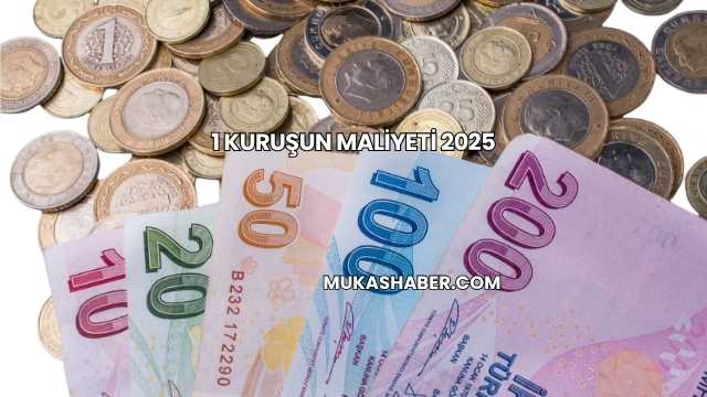 1 Kuruşun Maliyeti 2025